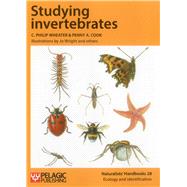 Studying Invertebrates