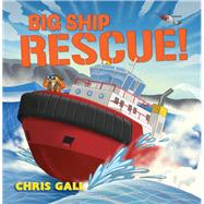 Big Ship Rescue! (Big Rescue)