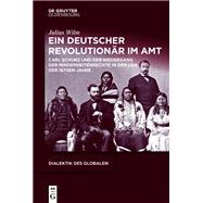 Ein deutscher Revolutionär im Amt