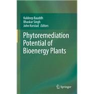 Phytoremediation Potential of Bioenergy Plants