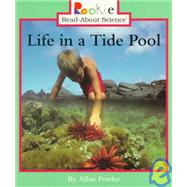 Life in a Tide Pool