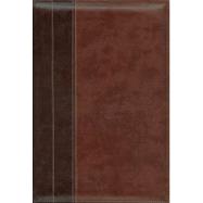 Archaeological Study Bible, Large Print