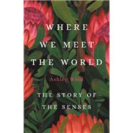 Where We Meet the World The Story of the Senses