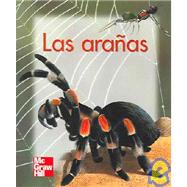 Las Aranas / The Spiders