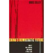 China's Democratic Future