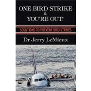 One Bird Strike and You're Out! : Solutions to Prevent Bird Strikes