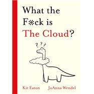 What the F*ck is The Cloud?