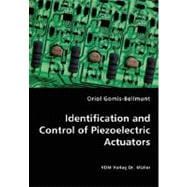 Identification and Control of Piezoelectric Actuators