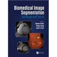 Biomedical Image Segmentation
