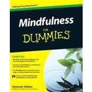 Mindfulness For Dummies