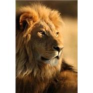 Mindblowing Cute Big Cats Journal