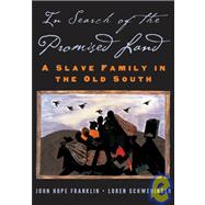 In Search of the Promised Land A Slave Family in the Old South
