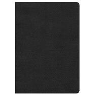 HCSB Large Print Compact Bible, Black LeatherTouch