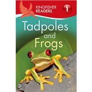 Kingfisher Readers L1: Tadpoles and Frogs