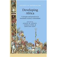 Developing Africa