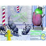 Tumblebugs and Hairy Bears : Exploring Insects with Children