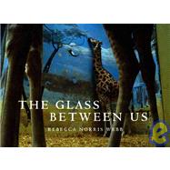 The Glass Between Us: Reflections Of Urban Creatures