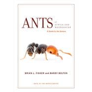 Ants of Africa and Madagascar