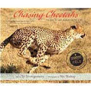 Chasing Cheetahs