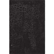 Black Square : Malevich and the Origin of Suprematism