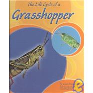 The Life Cycle of a Grasshopper