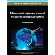 E-government Implementation and Practice in Developing Countries