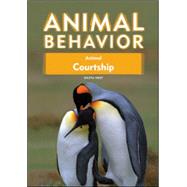 Animal Courtship