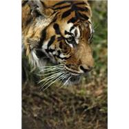 Mindblowing Cute Big Cats Journal