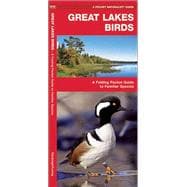 Great Lakes Birds A Folding Pocket Guide to Familiar Species