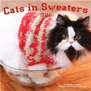 Cats in Sweaters 2016 16-Month Calendar September 2015 through December 2016