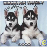 Siberian Husky Puppies 2000