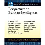 Perspectives on Business Intelligence