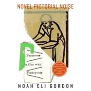 Novel Pictorial Noise