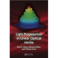 Light Propagation in Linear Optical Media