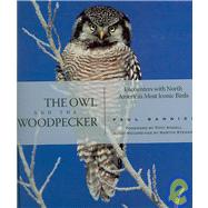 The Owl and the Woodpecker