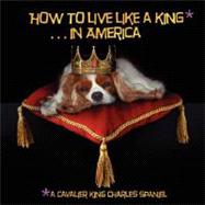 How to Live Like a King...In America