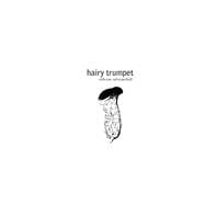 Hairy Trumpet