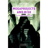 Megaprojects and Risk
