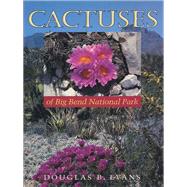 Cactuses of Big Bend National Park