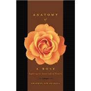 Anatomy Of A Rose