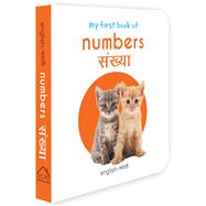 My First Book of Numbers - Sankhya My First English - Marathi Board Book