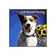 Jack Russell Terriers 2003 Calendar