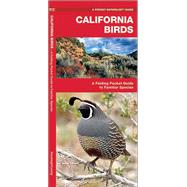 California Birds A Folding Pocket Guide to Familiar Species