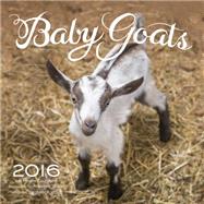 Baby Goats 2016 16-Month Calendar September 2015 through December 2016