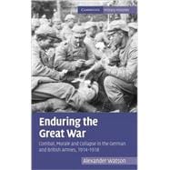 Enduring the Great War: Combat, Morale and Collapse in the German and British Armies, 1914â€“1918