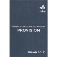 Provision Prophecies, Prayers & Declarations