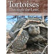 Tortoises Through the Lens : A Visual Exploration of a Mojave Desert Icon