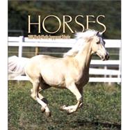 Horses 2006 Calendar