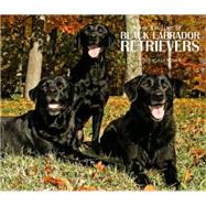 For the Love of Black Labrador Retrievers 2010 Calendar