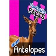 Fantastic Facts About Antelopes